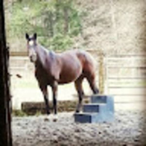 Meet your Posher, Yarrow